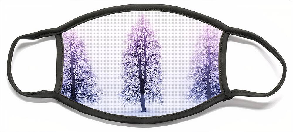 Trees Face Mask featuring the photograph Winter trees in fog at sunrise by Elena Elisseeva