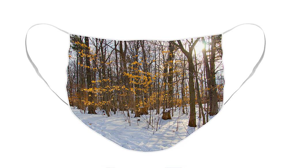 Winter Face Mask featuring the photograph Winter Walk by Laurel Best