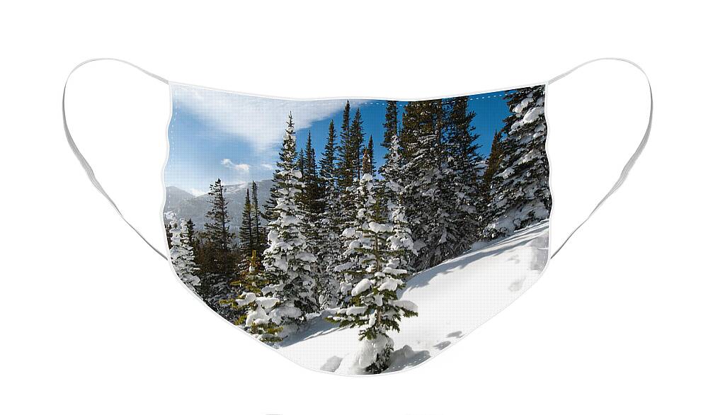 Landscape Face Mask featuring the photograph Winter Wonderland by Cascade Colors
