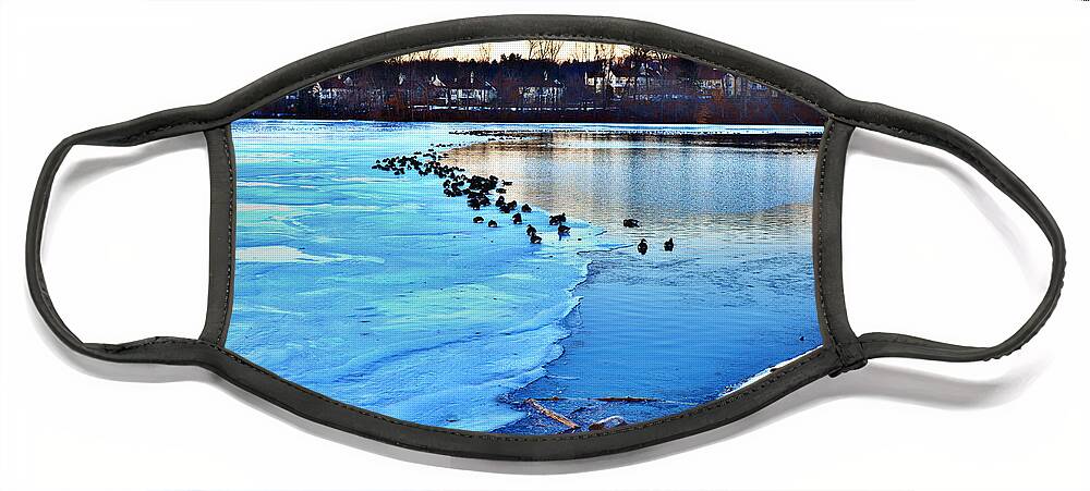 Ice Face Mask featuring the photograph Winter's Grip by Joseph Desiderio