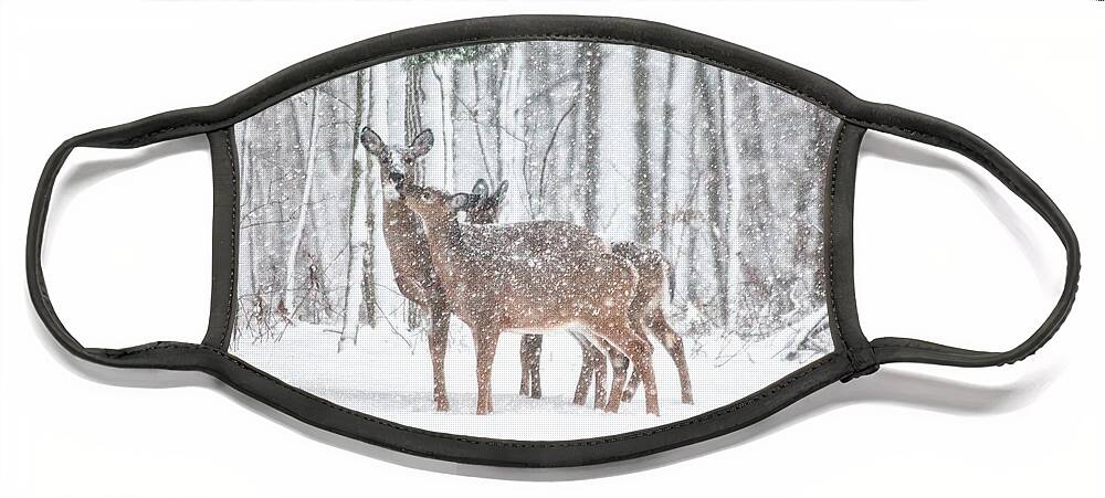 Deer Face Mask featuring the photograph Winters Love by Karol Livote