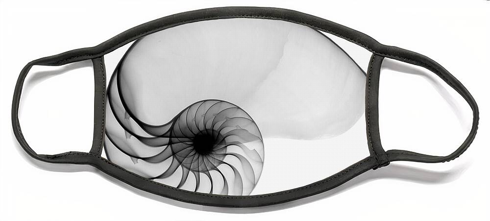 Radiograph Face Mask featuring the photograph X-ray Of Nautilus by Bert Myers