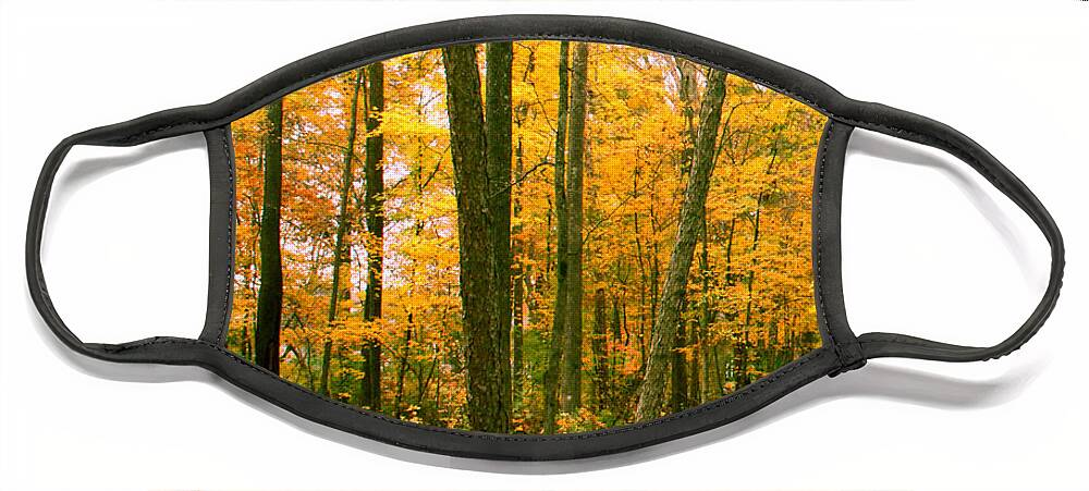 Fall Face Mask featuring the photograph Yellow Wood Vertical by Paul Anderson