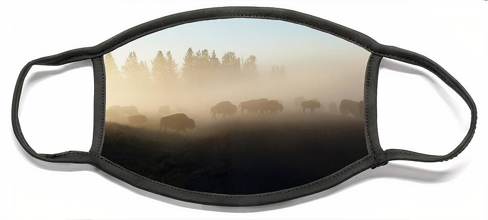 Bob And Nancy Kendrick Face Mask featuring the photograph Yellowstone Bison in Early Morning Fog by Bob and Nancy Kendrick