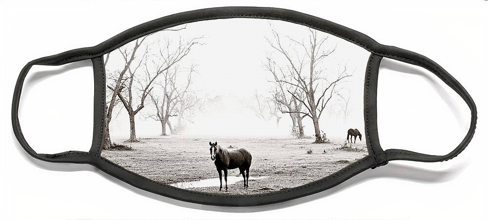 Horse Face Mask featuring the photograph Your Morning Joe by Scott Pellegrin