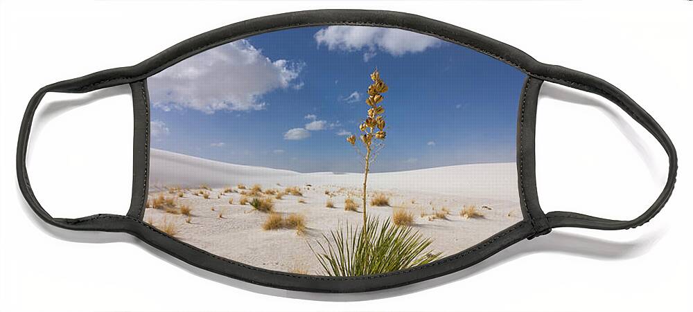 00559170 Face Mask featuring the photograph Yucca Growing On Dune In White Sands N by 