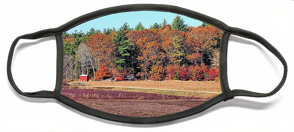 Cranberry Bog Face Mask featuring the photograph Bog Colors by Janice Drew