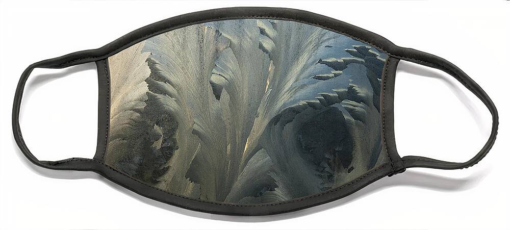 Hhh Face Mask featuring the photograph Frost Crystal Patterns On Glass, Ross #1 by Colin Monteath