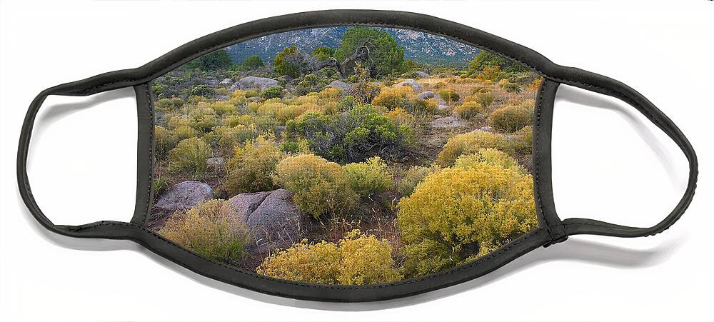 00175195 Face Mask featuring the photograph Organ Mountains Chihuahuan Desert New #1 by Tim Fitzharris