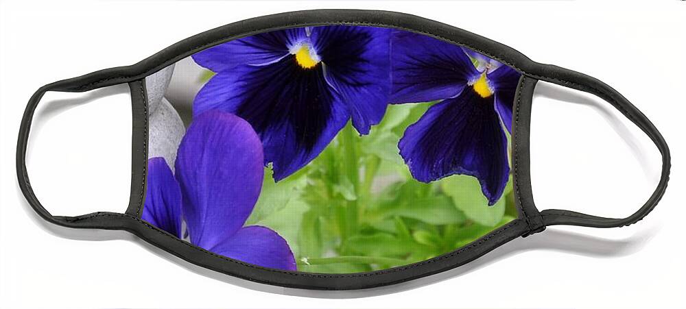  Face Mask featuring the photograph Purple Pansies #1 by Mark Valentine