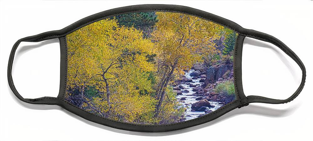 Autumn Face Mask featuring the photograph St Vrain Canyon and River Autumn Season Boulder County Colorado #2 by James BO Insogna