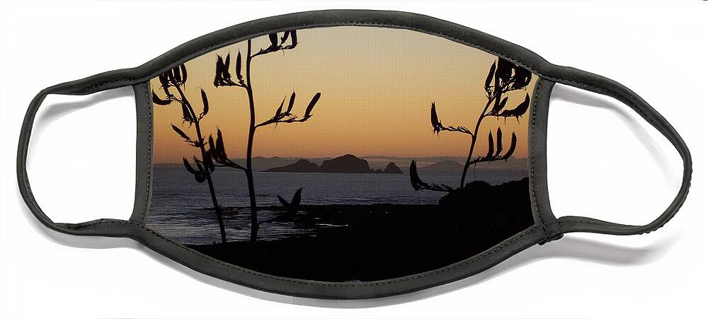 New Zealand Face Mask featuring the photograph Sunrise on East Coast of North Island 1 by Peter Mooyman