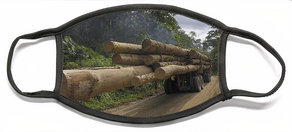 Mp Face Mask featuring the photograph Truck With Timber From A Logging Area #1 by Thomas Marent