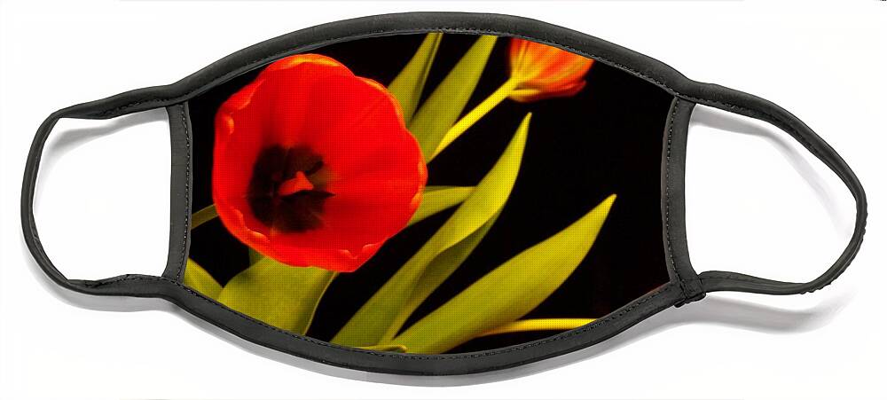Tulips Face Mask featuring the photograph Tulip Arrangement 2 by Peter Mooyman