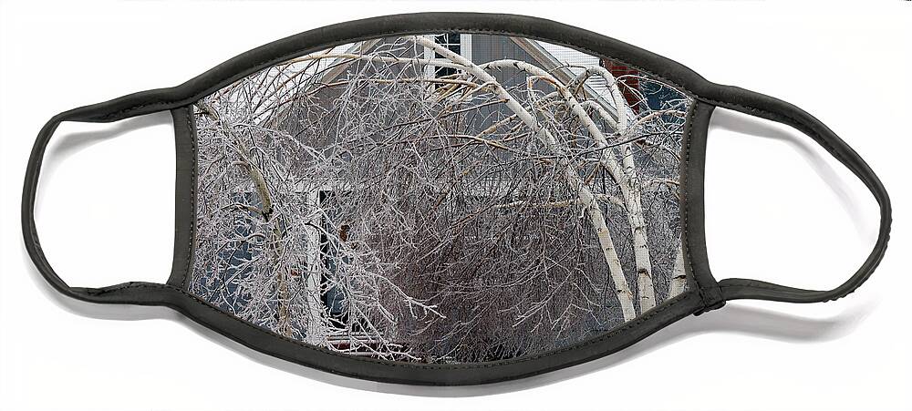 Ice Storm Face Mask featuring the photograph Ice Storm #10 by Ted Kinsman