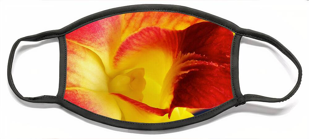 Dendrobium Face Mask featuring the photograph Dendribium malone or Hope orchid Flower #2 by Perla Copernik