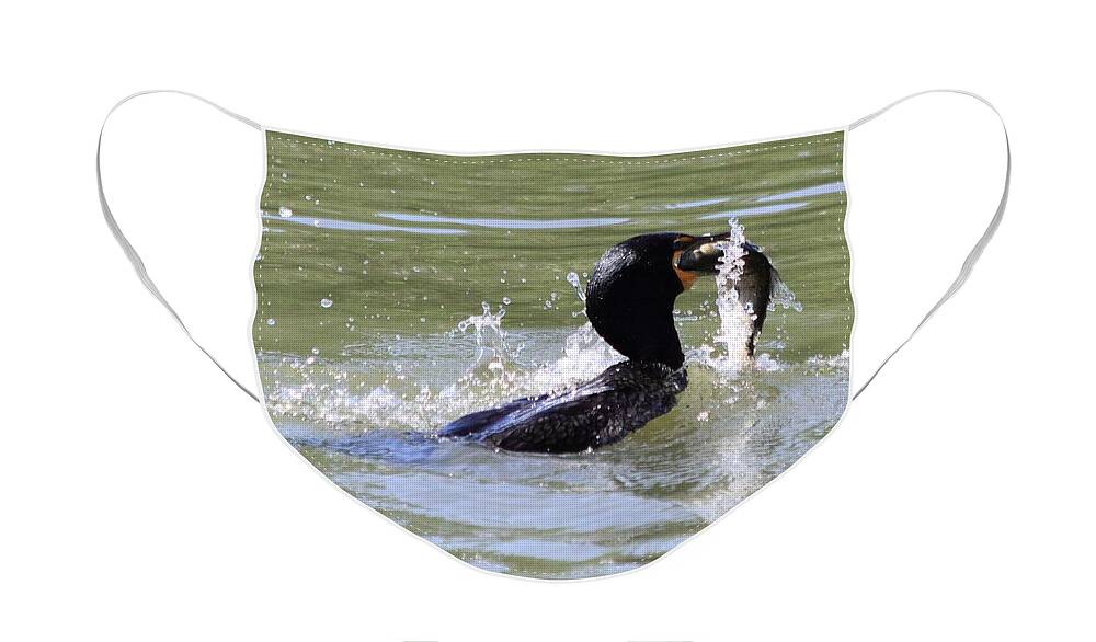 Cormorant Face Mask featuring the photograph A Fresh Meal by Shane Bechler
