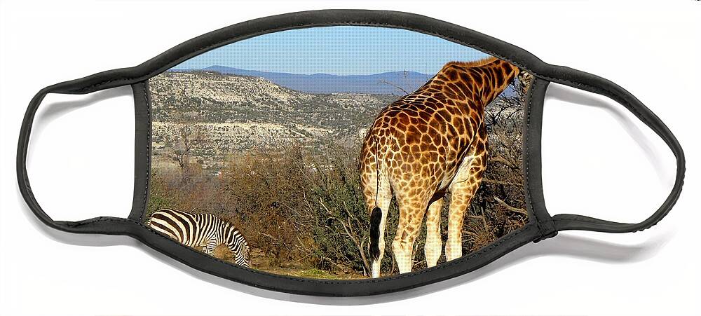 Giraffe Face Mask featuring the photograph African Safari in Arizona by Kim Galluzzo Wozniak