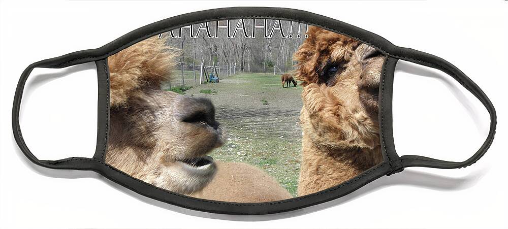 Alpaca Face Mask featuring the photograph AHAHAHA Alpacas by Kim Galluzzo