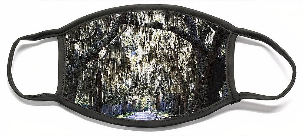 Scenery Face Mask featuring the photograph Ancient Path by Kenneth Albin