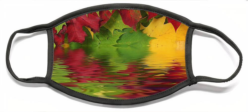 Leaves Face Mask featuring the photograph Autumn leaves in water with reflection by Simon Bratt