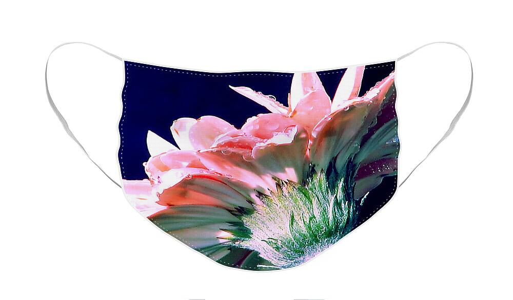 Gerbera Daisy Face Mask featuring the photograph Bathing In Moonlight by Rory Siegel