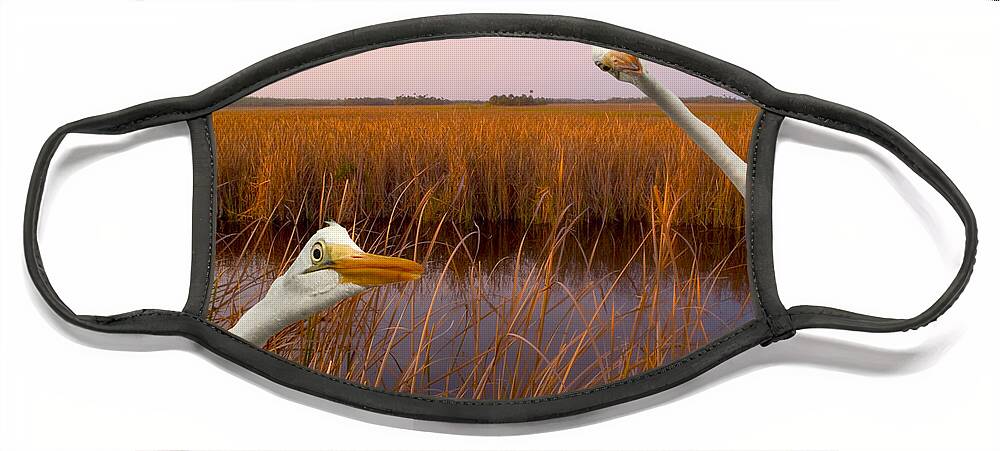 Great Egrets Face Mask featuring the photograph Birds Eye View by John Hartung  ArtThatSmiles com