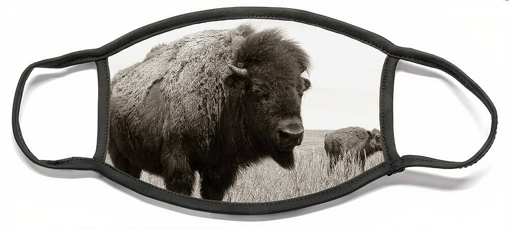 America Face Mask featuring the photograph Bison and Calf by Olivier Le Queinec