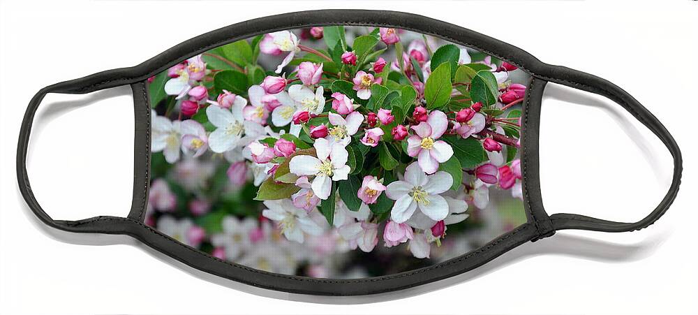 Blossoms Face Mask featuring the photograph Blossoms on Blossoms by Dorrene BrownButterfield