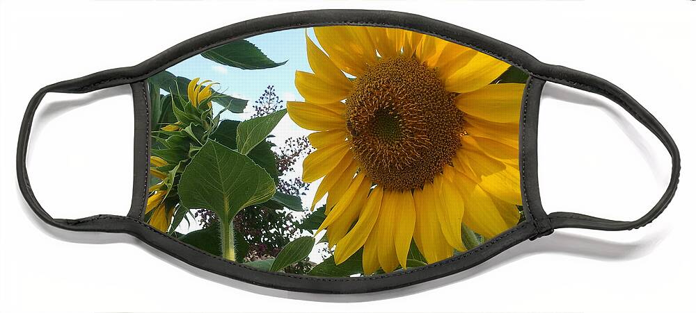 Sunflower Face Mask featuring the photograph Bright Day by Yenni Harrison