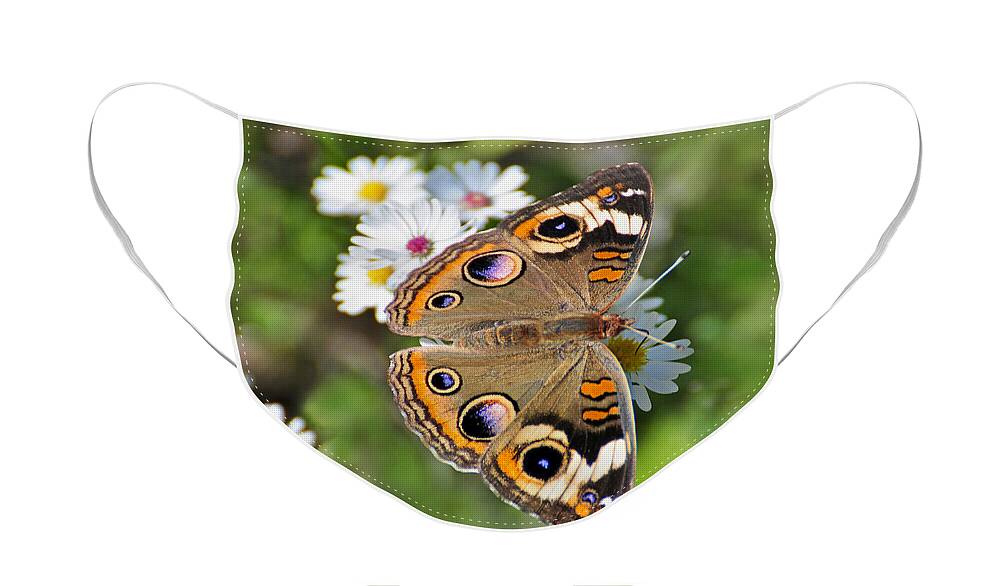 Butterfly Face Mask featuring the photograph Buckeye Butterfly by Rodney Campbell