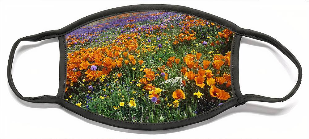 00176978 Face Mask featuring the photograph California Poppy And Other Wildflowers by Tim Fitzharris