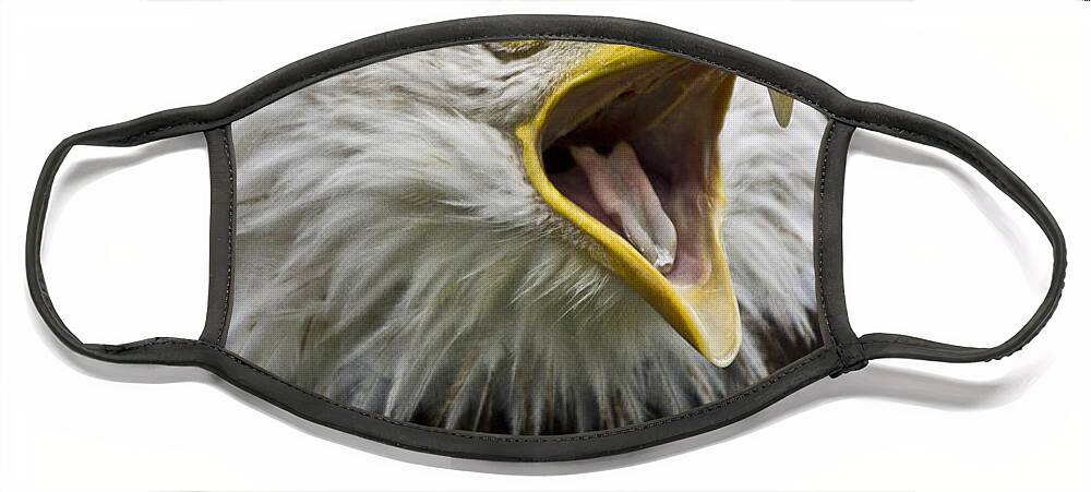 Eagle Face Mask featuring the photograph Calling Bald Eagle - 4 by Heiko Koehrer-Wagner