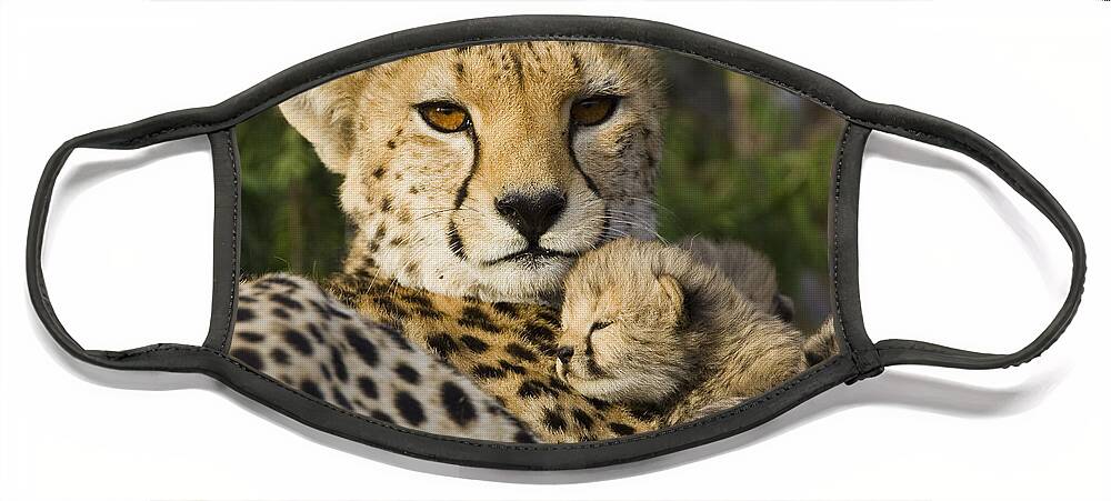 00761512 Face Mask featuring the photograph Cheetah Mother And Cub #1 by Suzi Eszterhas