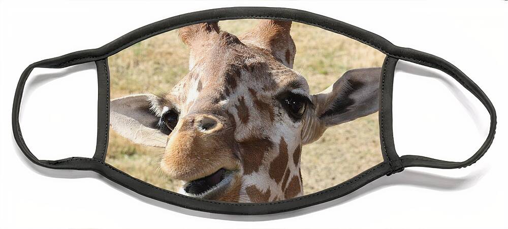 Giraffe Face Mask featuring the photograph Chewing my treat by Kim Galluzzo Wozniak