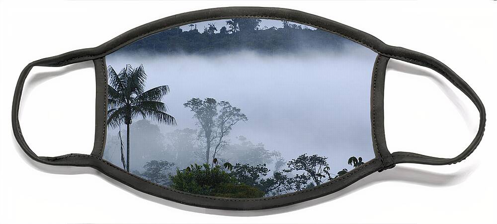 Mp Face Mask featuring the photograph Cloud Forest Vegetation In Mist by Pete Oxford