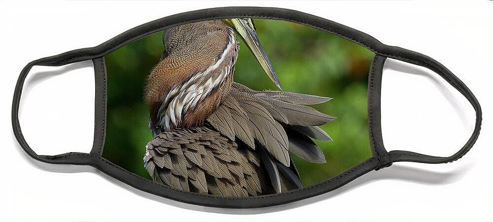 Birds Face Mask featuring the photograph Corkscrew Heron by Sue Karski