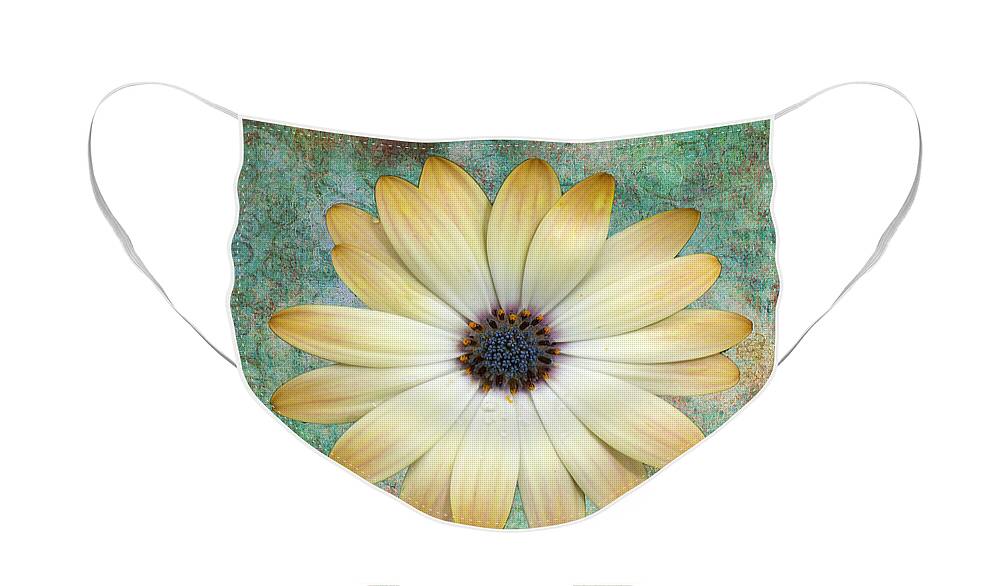 Daisy Face Mask featuring the photograph Cream Coloured Daisy by Chris Thaxter