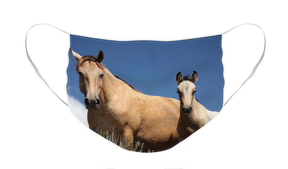 Horses Face Mask featuring the photograph Curiosity - Monero Mustangs Sanctuary by Veronica Batterson