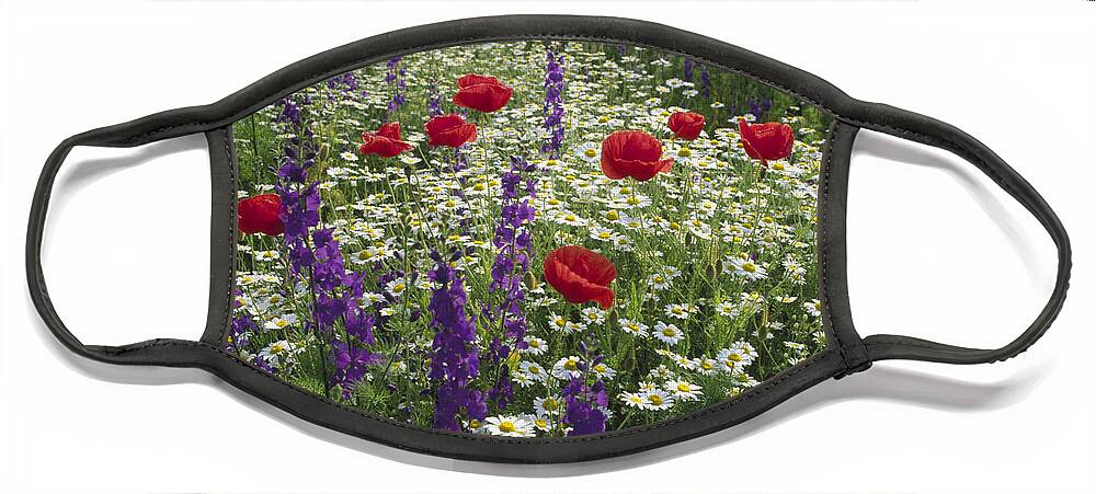 00193677 Face Mask featuring the photograph Daisies Delphinium and Poppies by Konrad Wothe