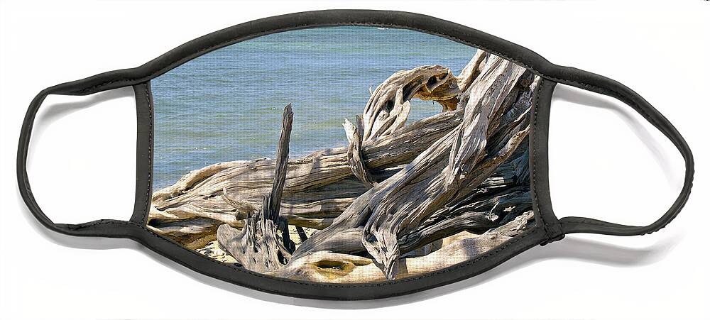 Driftwood Photography Face Mask featuring the photograph Driftwood II by Patricia Griffin Brett
