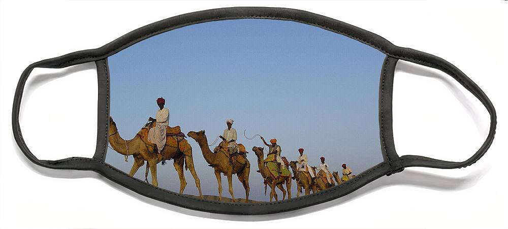 Mp Face Mask featuring the photograph Dromedary Camelus Dromedaries Group by Pete Oxford