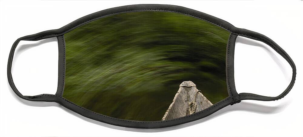 Mp Face Mask featuring the photograph Dugout Canoe In Blackwater Stream by Pete Oxford