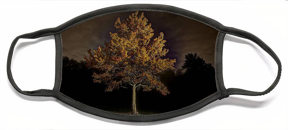 Fall Face Mask featuring the photograph Fall Tree by Nicholas Grunas
