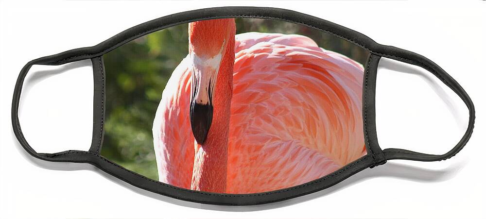 Flamingo Face Mask featuring the photograph Flamingo by Kim Galluzzo Wozniak
