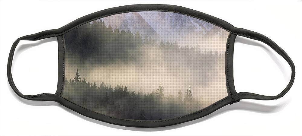 Mp Face Mask featuring the photograph Fog In Old Growth Forest, Chilkat River by Gerry Ellis