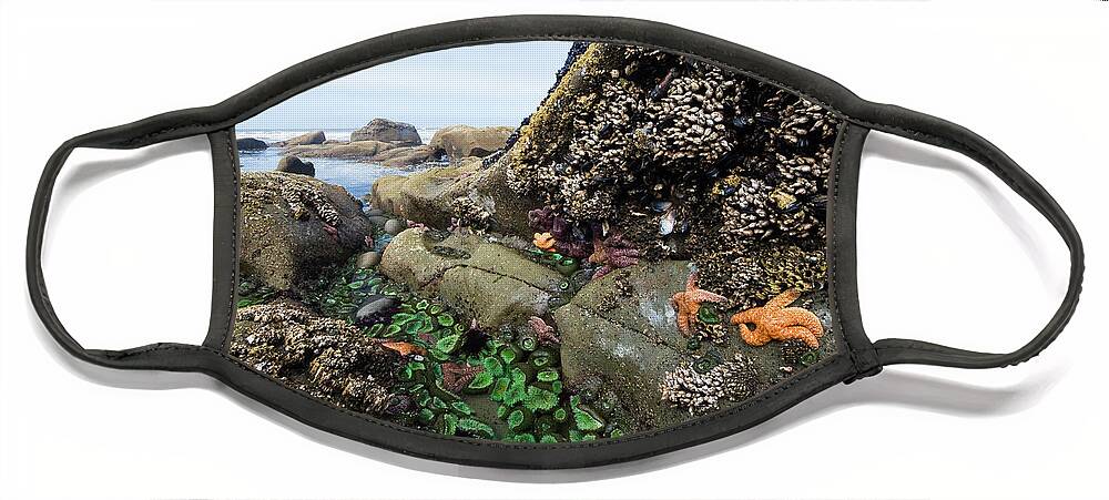 Mp Face Mask featuring the photograph Giant Green Sea Anemone Anthopleura by Konrad Wothe