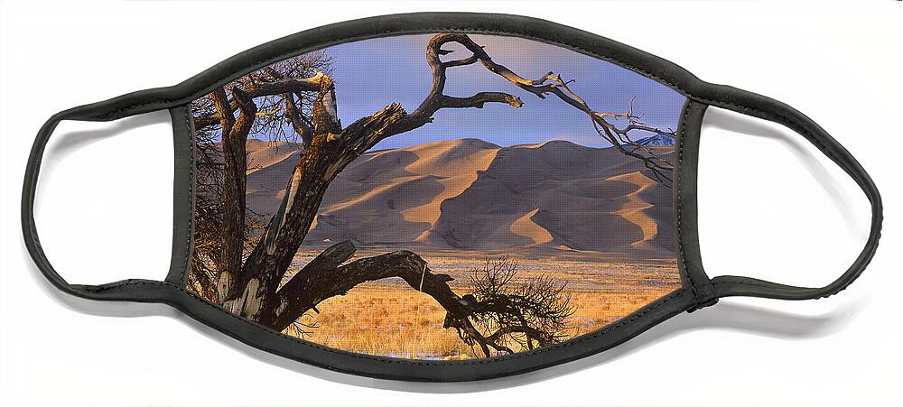 00176731 Face Mask featuring the photograph Grasslands And Dunes Great Sand Dunes by Tim Fitzharris