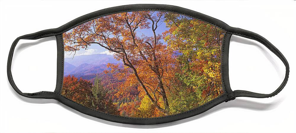 00175801 Face Mask featuring the photograph Great Smoky Mountains From Blue Ridge by Tim Fitzharris
