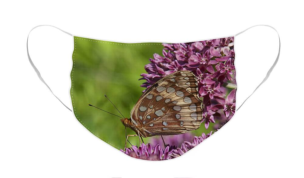 Marsh Face Mask featuring the photograph Great Spangled Fritillary DIN194 by Gerry Gantt